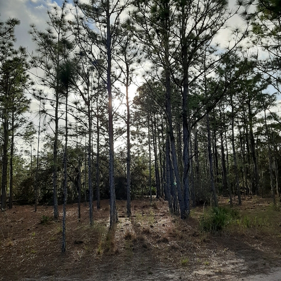 Meet your posher - Picture 2 of 5